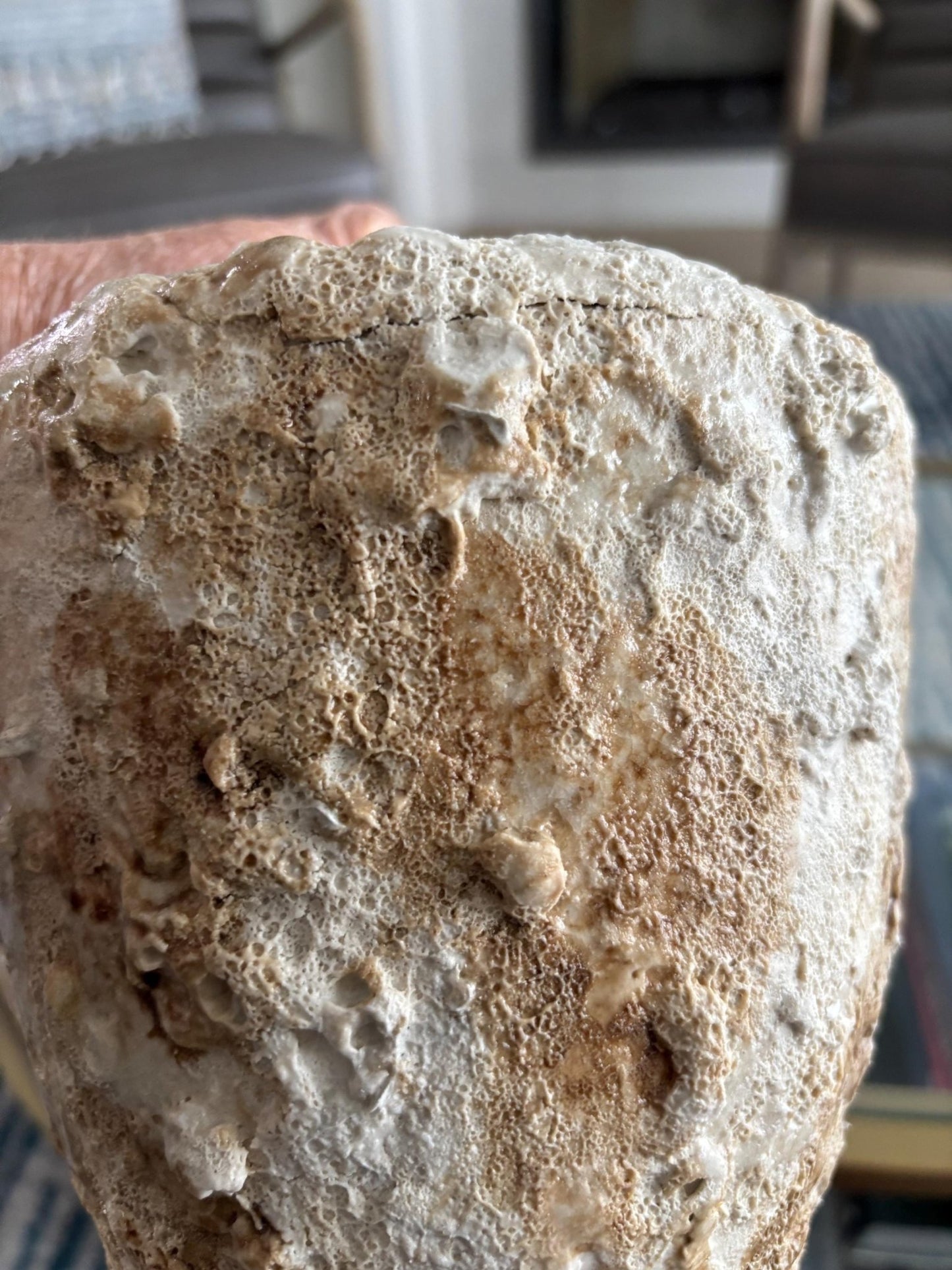 Handmade Textured Ceramic Pot – Neutral White and Beige Decorative Vase – Wabi Sabi Pottery SECOND - Vakili Art