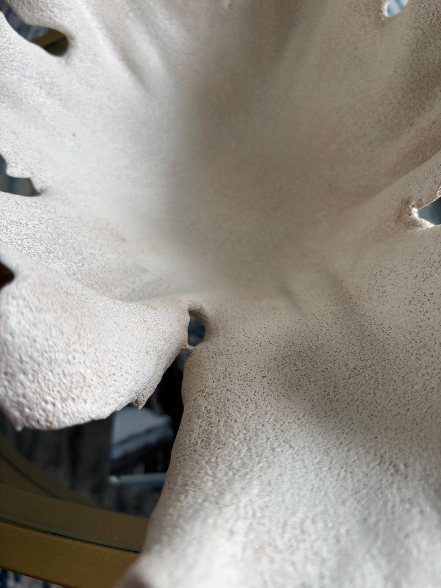 Handmade White Wavy Bowl: Beachy Pottery Centerpiece - Vakili Art